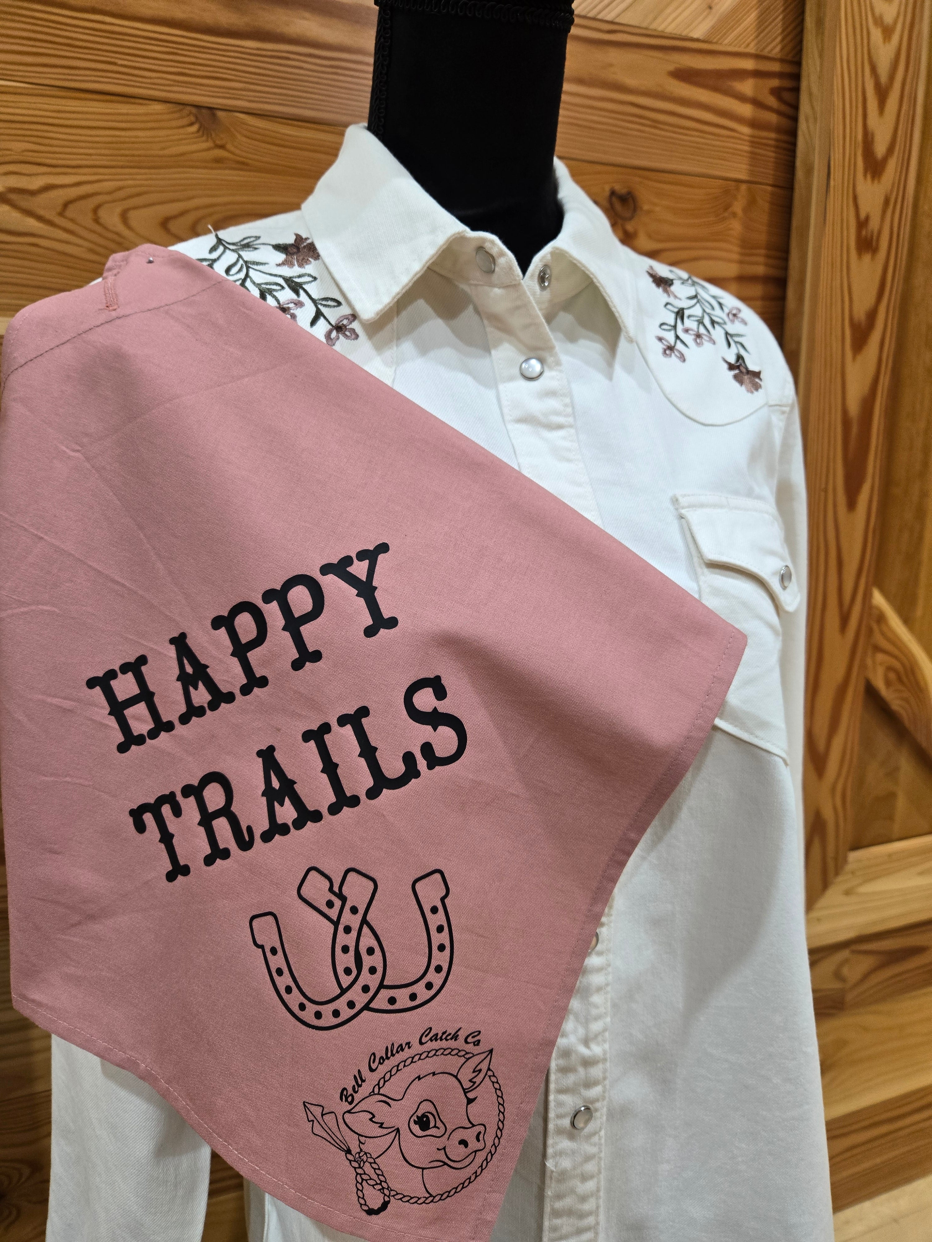 Cream color western shirt with embroidery on the yolk